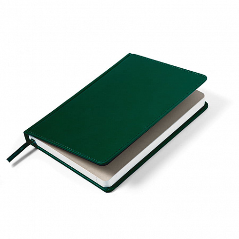 Ежедневник недатированный CAMPBELL, формат А5,  в линейку