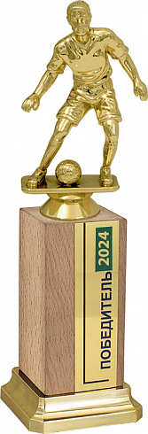 Награда Футболист на деревянном бруске