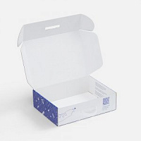 Коробка Light Case, ver.2 с печатью на заказ