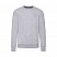 Свитшот без начеса LIGHTWEIGHT SET-IN SWEAT 240