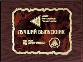 Вариант комплектации плакеток №965