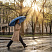 Зонт складной Regenfall, темно-синий