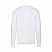 Свитшот без начеса LIGHTWEIGHT SET-IN SWEAT 240