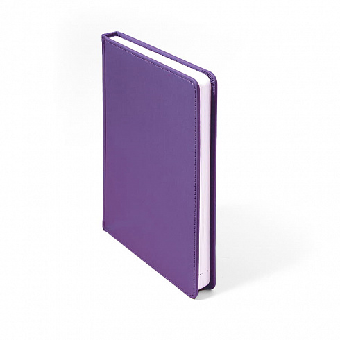 Ежедневник недатированный CAMPBELL, формат А5,  в линейку