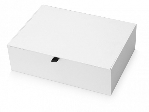 Коробка подарочная White L — РПК «Прогресс»