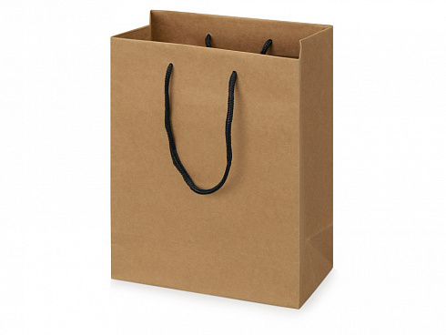 Пакет подарочный Kraft S, 23x30x12 см — РПК «Прогресс»