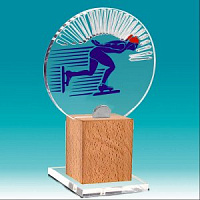 Акриловая награда на деревянной подставке Конькобежный спорт
