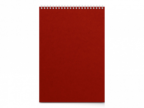 Бизнес - блокнот А4 (198 х 285 мм) Office 60 л., красный — РПК «Прогресс»