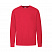 Свитшот без начеса LIGHTWEIGHT SET-IN SWEAT 240