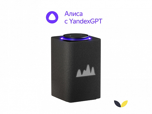 Умная колонка ЯНДЕКС Станция Макс с Алисой, с Zigbee, 65 Вт, цвет: графит (YNDX-00053K) — РПК «Прогресс»