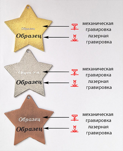 Медаль Шамокша