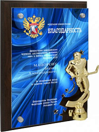 Вариант комплектации плакетки №924 УФ0 хоккей