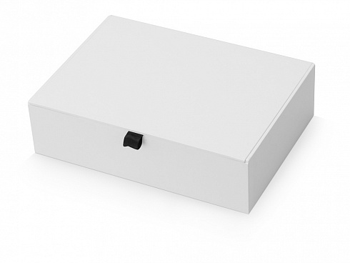 Коробка подарочная White M — РПК «Прогресс»