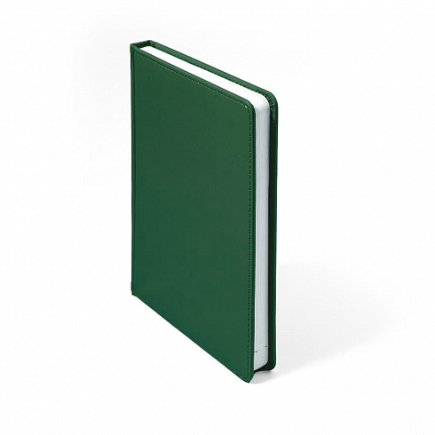 Ежедневник недатированный CAMPBELL, формат А5,  в линейку