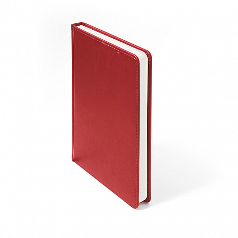 Ежедневник недатированный CAMPBELL, формат А5,  в линейку