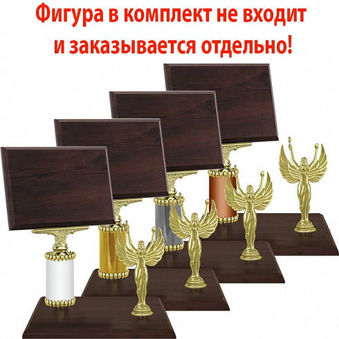 Награда (без фигуры)