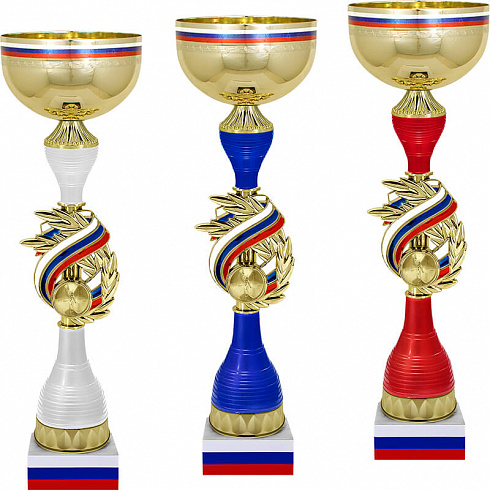 Кубок Ненси