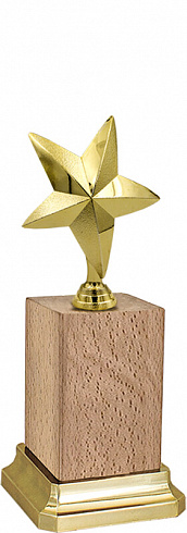 Награда Звезда на деревянном бруске