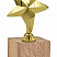 Награда Звезда на деревянном бруске