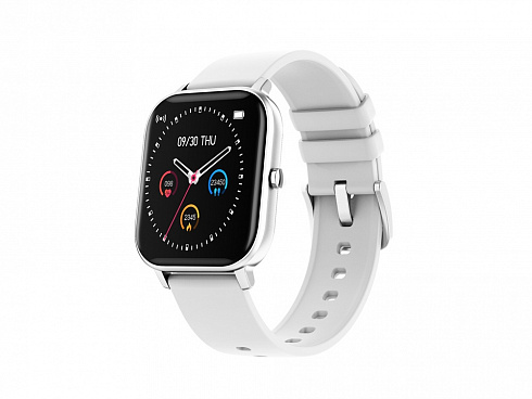 Смарт-часы Canyon SW-74 Wildberry , IP67, серебристый — РПК «Прогресс»