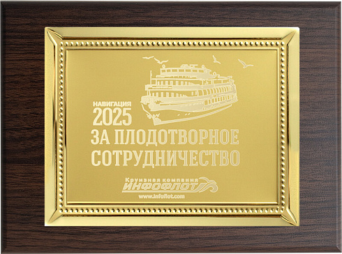 Вариант комплектации плакеток №971