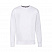 Свитшот без начеса LIGHTWEIGHT SET-IN SWEAT 240