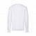 Свитшот без начеса LIGHTWEIGHT SET-IN SWEAT 240