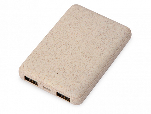 Портативное зарядное устройство Wheatty, 5000 mAh — РПК «Прогресс»