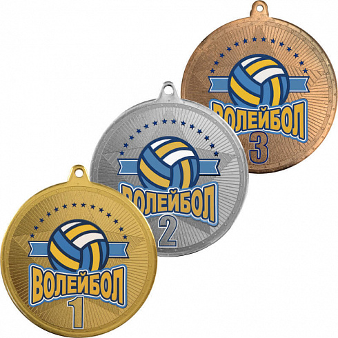 Медаль Волейбол 2 место 70мм