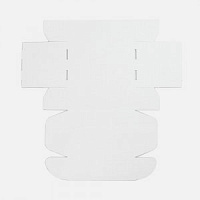 Коробка самосборная Capsie Light с печатью на заказ